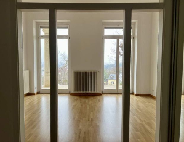 Rarität! Sonnige Terrassenwohnung mit Blick auf Elbe und Dresden! - Foto 1