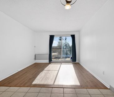 Appartement à louer - Brossard (Noms de rues (P)) Appartement à lou... - Photo 1