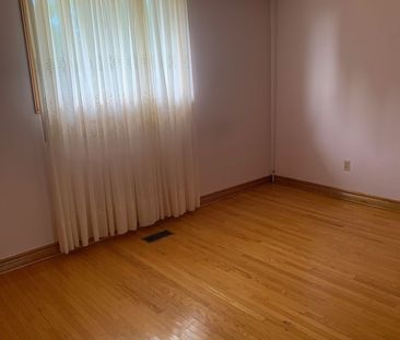 For Lease - 155 Rainbow Drive, Vaughan, Ontario - Photo 5