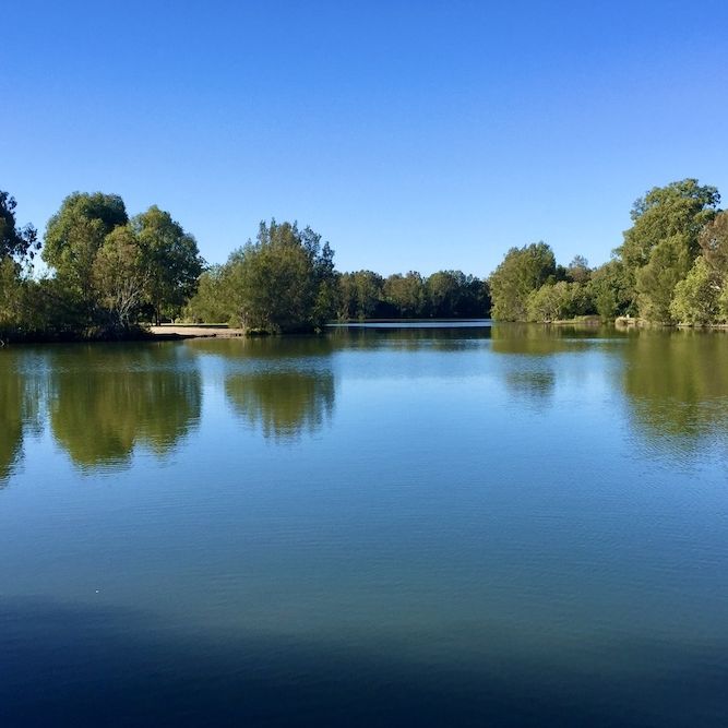 17A Tussock Crescent, Elanora QLD 4221 - House For Rent - $490 | Domain - Photo 1