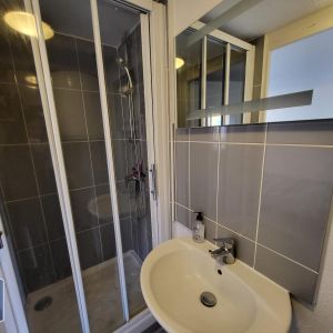 Location Appartement 1 pièce 21m² CLERMONT FERRAND 63000 - Photo 3