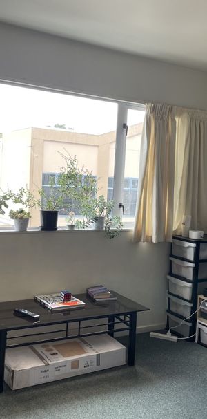 Two bedroom unit in Te Aro - Photo 1