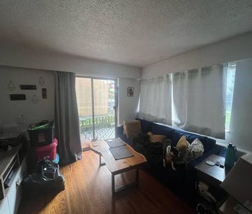 1 Bedroom 1 Bath - RENOVATED PET FRIENDLY - Photo 3