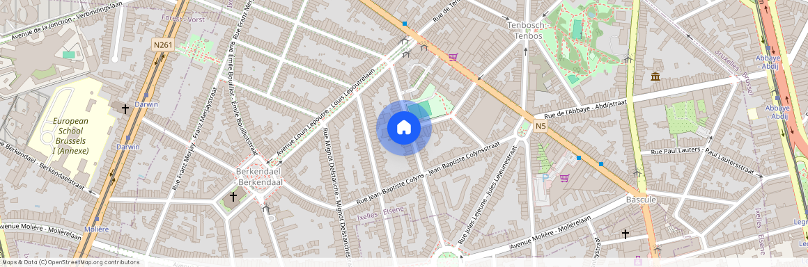 Rue Camille Lemonnier, 41, 1050, Ixelles