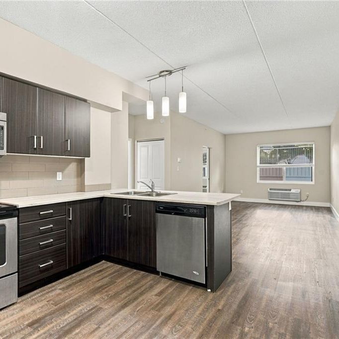 149 MAIN Street W Unit# 202, Hamilton, Ontario, L8P1H9 - Photo 1