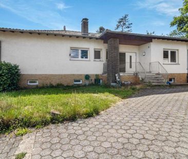 Top Wohnungen in Langenselbold zu vermieten !!! - Photo 1