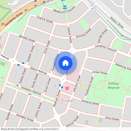 19 Galore Street, Crace