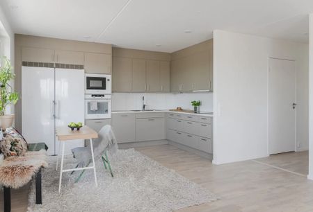 Kalkstensvägen, Limhamn - Photo 5