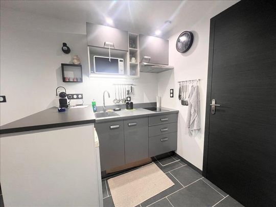 1 pièce - Meublé - 20,21 m² - RDC - Colocation non autorisée - Photo 1