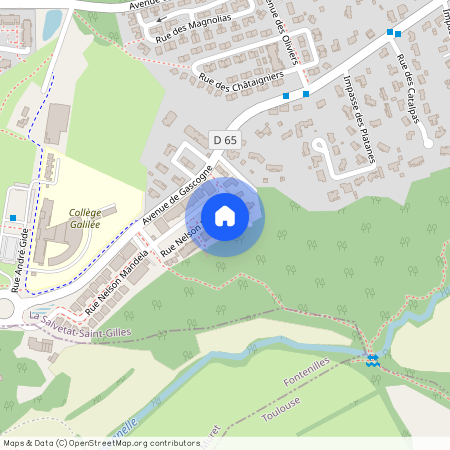 31880, La Salvetat-Saint-Gilles