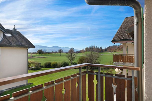 Erstvermietung nach Komplettsanierung: 7.5-Zimmer-Wohnung mit Balkon in Wagen - Foto 1