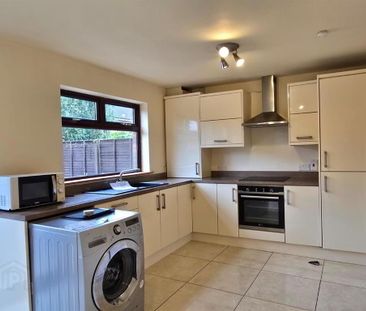 31 Dunsy Way, Comber, Newtownards, BT23 5DG - Photo 5