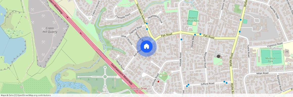 3/94 PAH ROAD, Papatoetoe, Manukau City