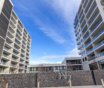 291/1 Mouat Street, Lyneham ACT 2602 - Apartment For Rent | Domain - Photo 1