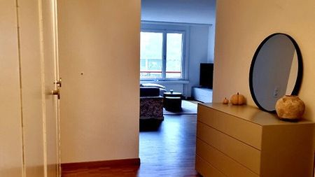 2½ Zimmer-Wohnung in Zürich - Kreis 3 Binz, möbliert, auf Zeit - Photo 5