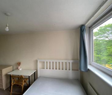 3 bedroom house share to rent - Photo 3