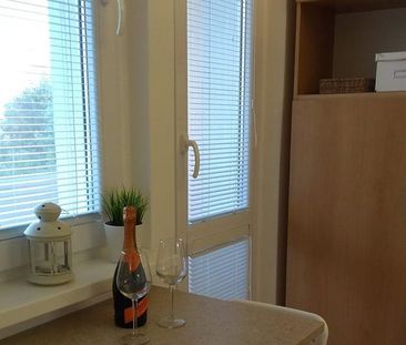 Slnečný a útulný 1-izbový byt s veľkou loggiou - Photo 2