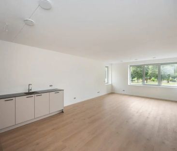 Appartement de 3 pièces De Zaling, Dronten - À louer - Foto 1
