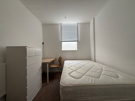 Darran Street, Cathays - Photo 5