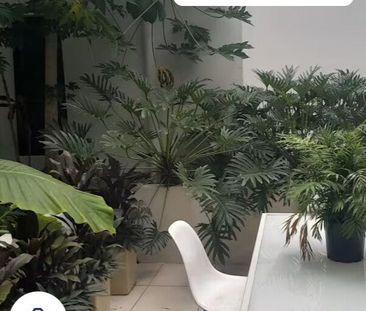 Varsity Lakes - Photo 4