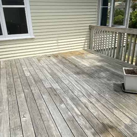 Cutie in Huia - Photo 1