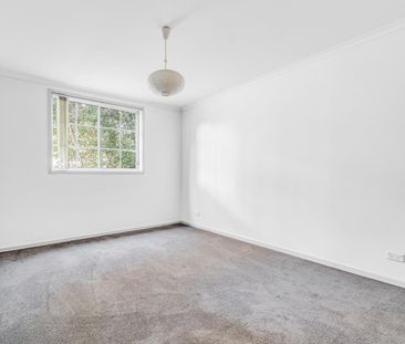 Spacious Light Filled Living - Photo 4