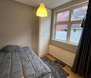 Kamer Korreweg - Photo 2