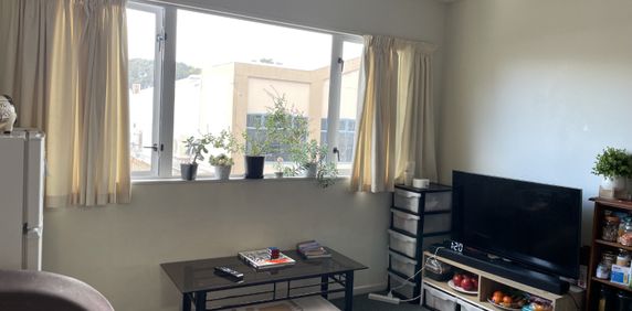 Two bedroom unit in Te Aro - Photo 2