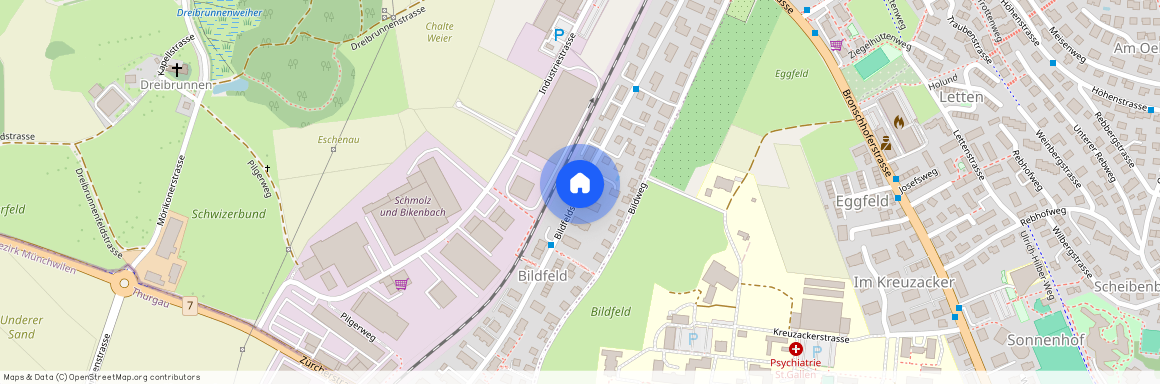 Bildfeldstrasse, 9552 Bronschhofen