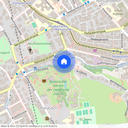 Felsenstrasse 12a, 8008 Zürich