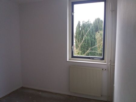 Beryl 5 - Photo 3