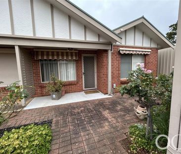 Open the Door To Light-Filled Living in a Peaceful Parkside Setting - Photo 3