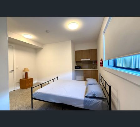 4/166 Roberts Road, Greenacre, NSW 2190 - Photo 1
