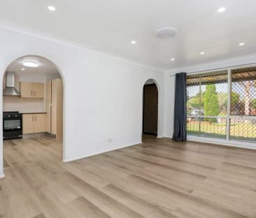55 Palmerston Road, Mount Druitt NSW 2770 - Photo 5
