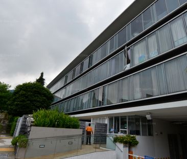 Wilkie Studio (D9), Apartment - For Rent - Photo 4