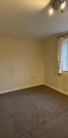 Pipkin Close - Photo 1