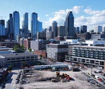 Appartement à louer - Montréal (Le Sud-Ouest) (Griffintown) - Photo 3
