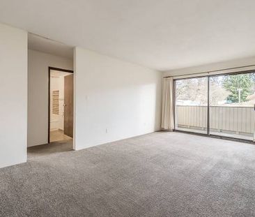 Lakehill Villa - 1 Bedroom - Available February 1st - Photo 4