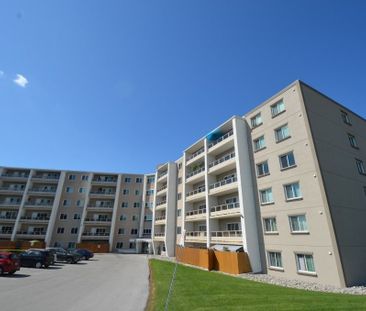315 Glendale Avenue apartment — St. Catharines, ON (1-Bedroom) - 1 Bedroom - Photo 2