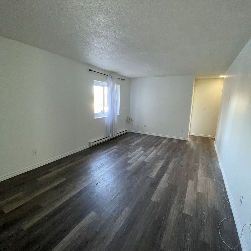 For Lease - 43 Manitoba Street Unit# 1, Bracebridge, Ontario - Photo 1