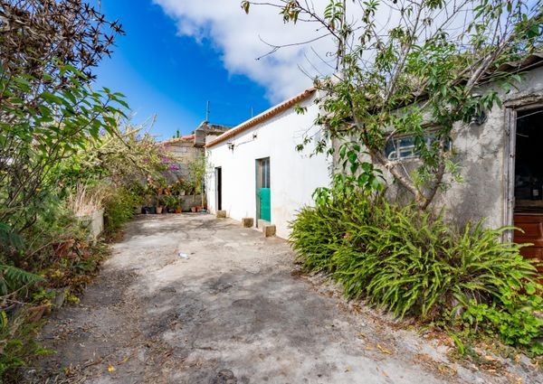 **¡Se Alquila Casa en Agulo, Las Rosas!** – 0067-04335