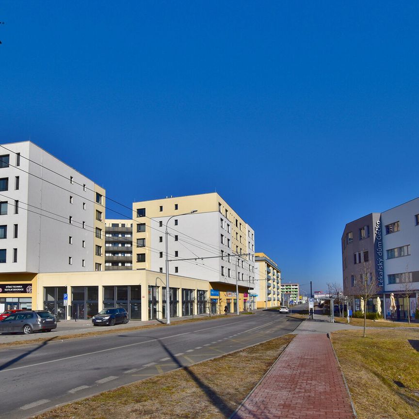 Pronájem bytu 1+kk v osobním vlastnictví 50 m², České Budějovice - Fotografie 1