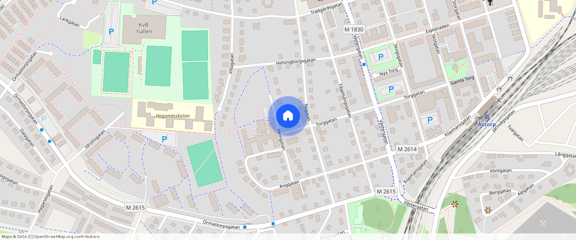 Torggatan **, Gamla Skolan