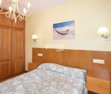 Piso en alquiler en Calle Lugar Quintana, 157 - Foto 4