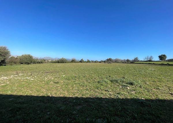 543 Diseminado Poligono 1, Pollença, Balearic Islands 07460