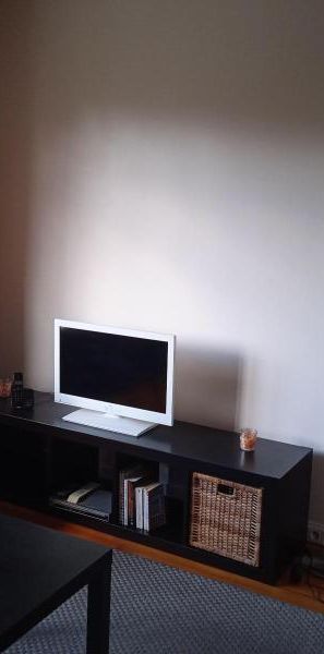 Location Appartement 1 pièce 28m² ANNEMASSE 74100 - Photo 1