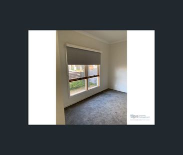 45 Nottage Road, Lightsview, SA 5085 - Photo 5