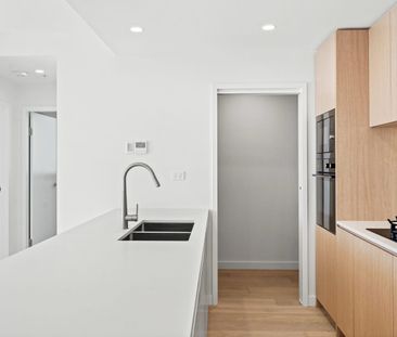 Brand New Apartment with Park & Water Views - Photo 5