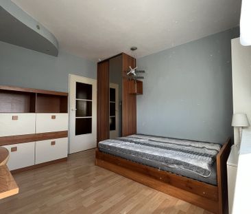 Umeblowane z widokiem na las wynajmę - Фото 5