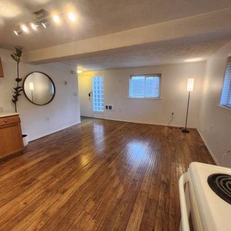 1 Bedroom + Den Basement Suite (South Hillside Mall Area) - Nov 1 - Photo 1